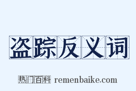 盗踪反义词是什么意思的图片